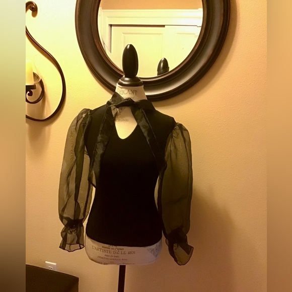 BEAUTIFUL TINY WILLOW TOP. SHEER SLEEVES W/ELASTIC CUFFS. EXCELLENT CONDITION - Picture 5 of 6